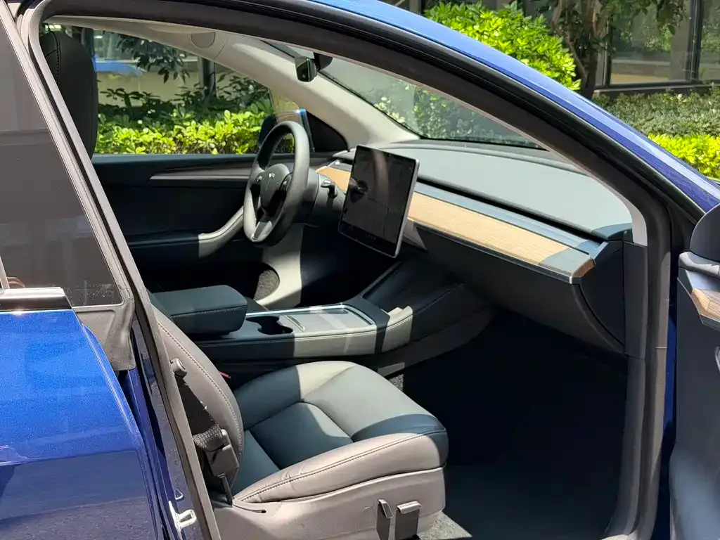Tesla Model Y — фото 5