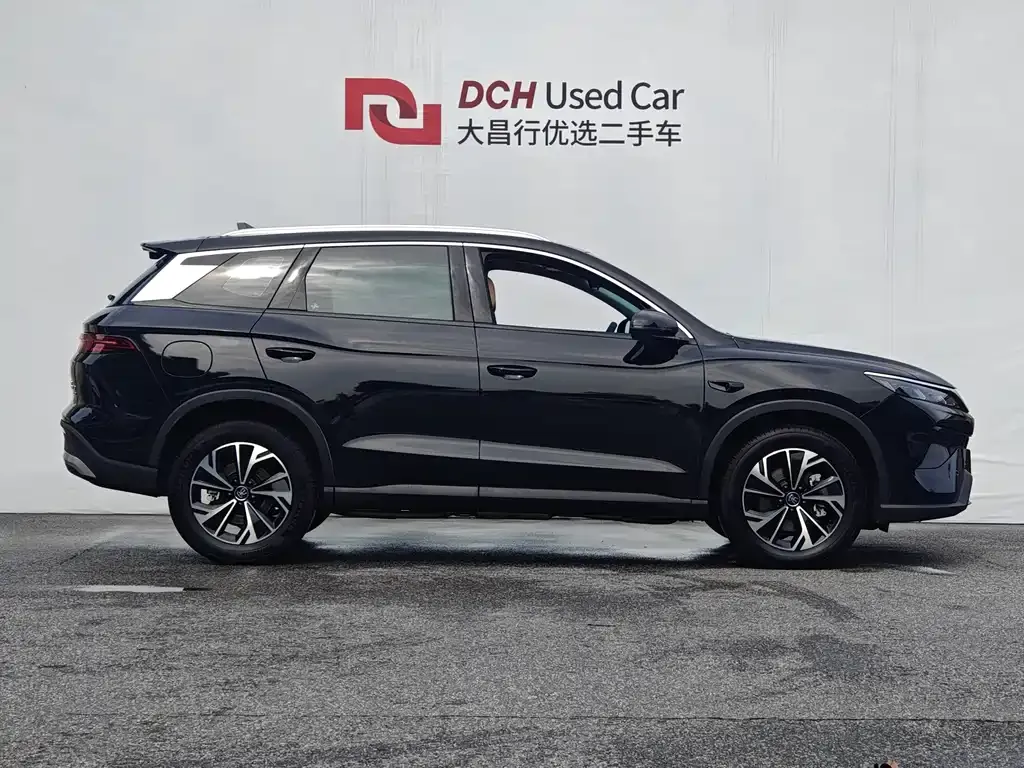 BYD Pro New Energy — фото 8
