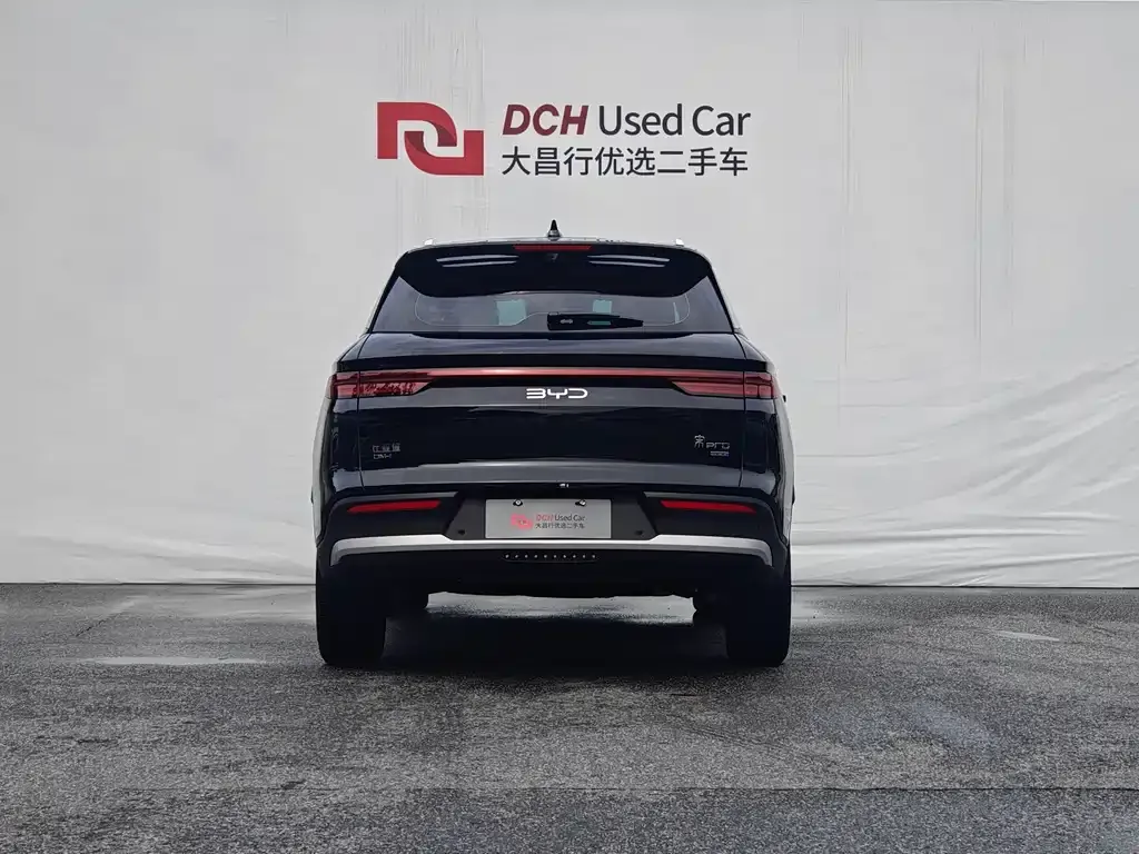 BYD Pro New Energy — фото 5