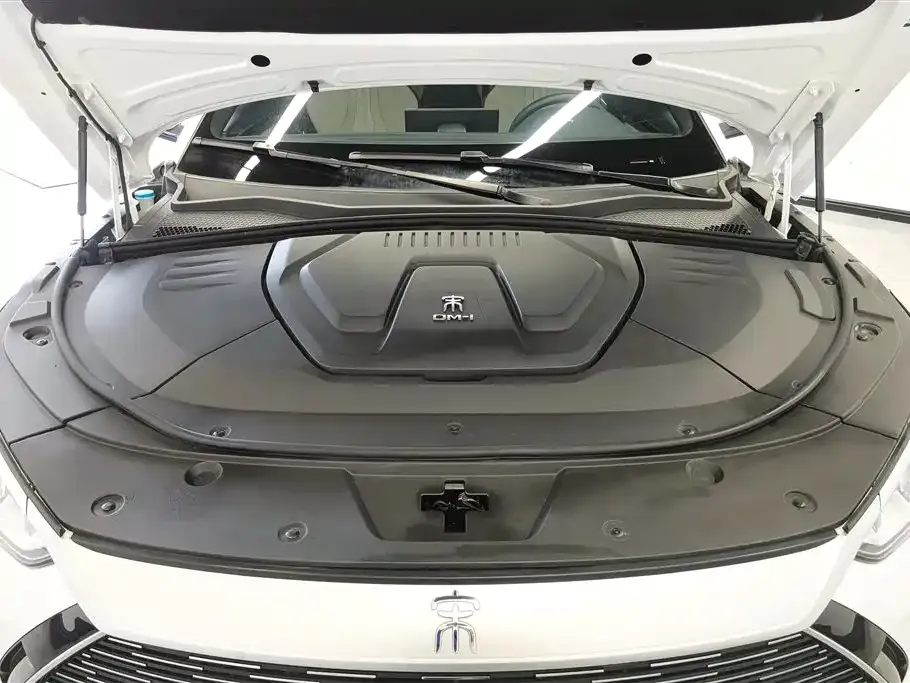 BYD PLUS New Energy — фото 6