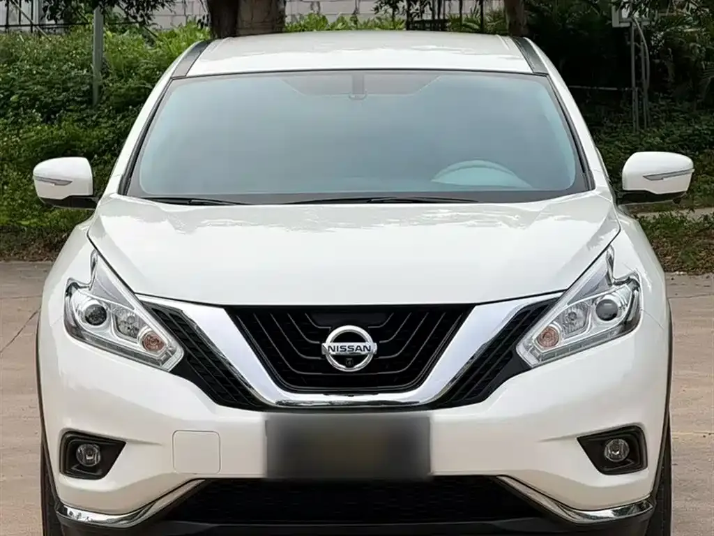 Nissan Murano 2022 из CN, фото 4