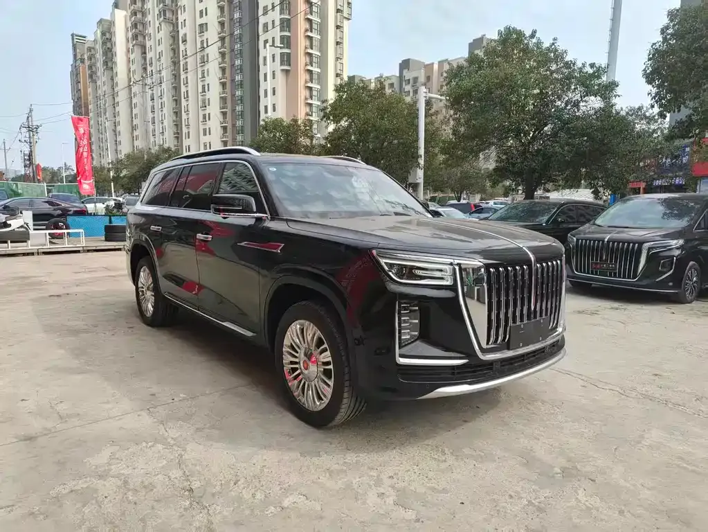 Hongqi Golden Sunflower Guoyao 2026 из CN, фото 10