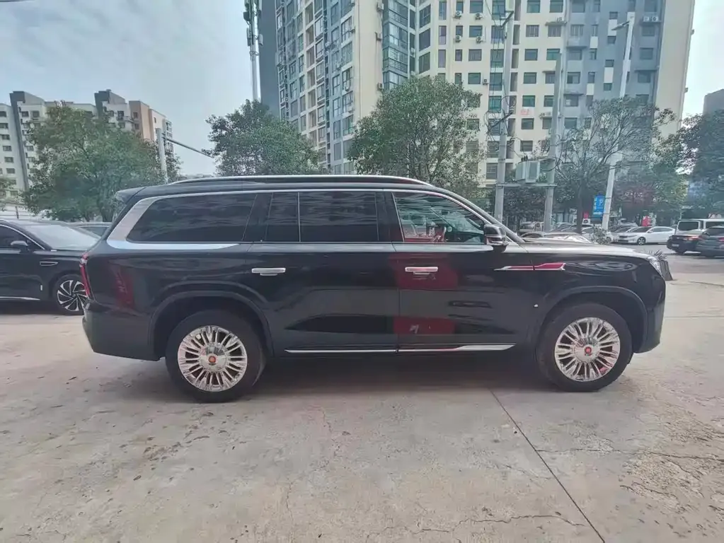 Hongqi Golden Sunflower Guoyao 2026 из CN, фото 3