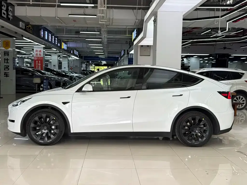 Tesla Model Y — фото 3
