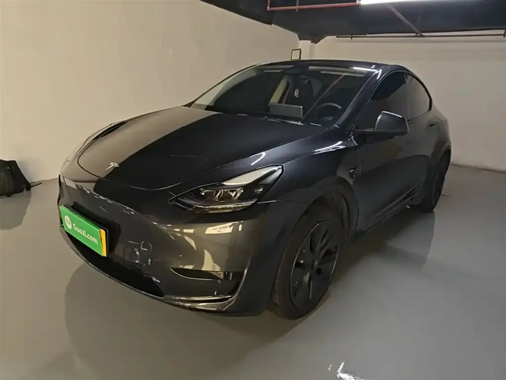 Tesla Model Y — фото 8