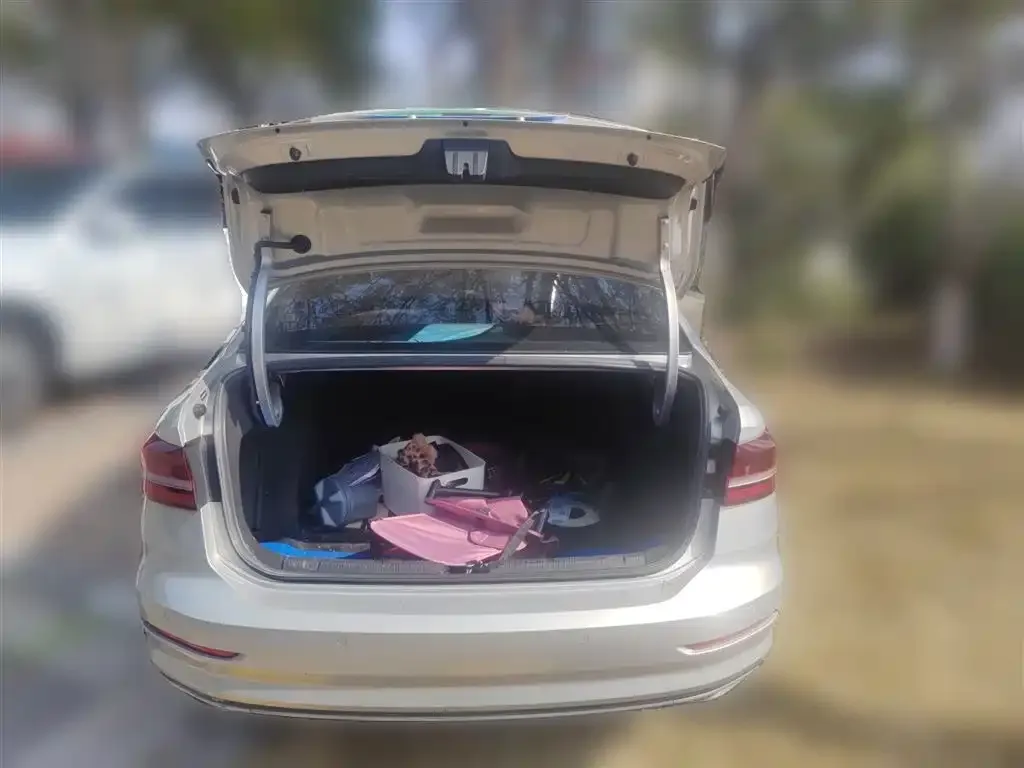 Volkswagen Lavida 2021 из CN, фото 6