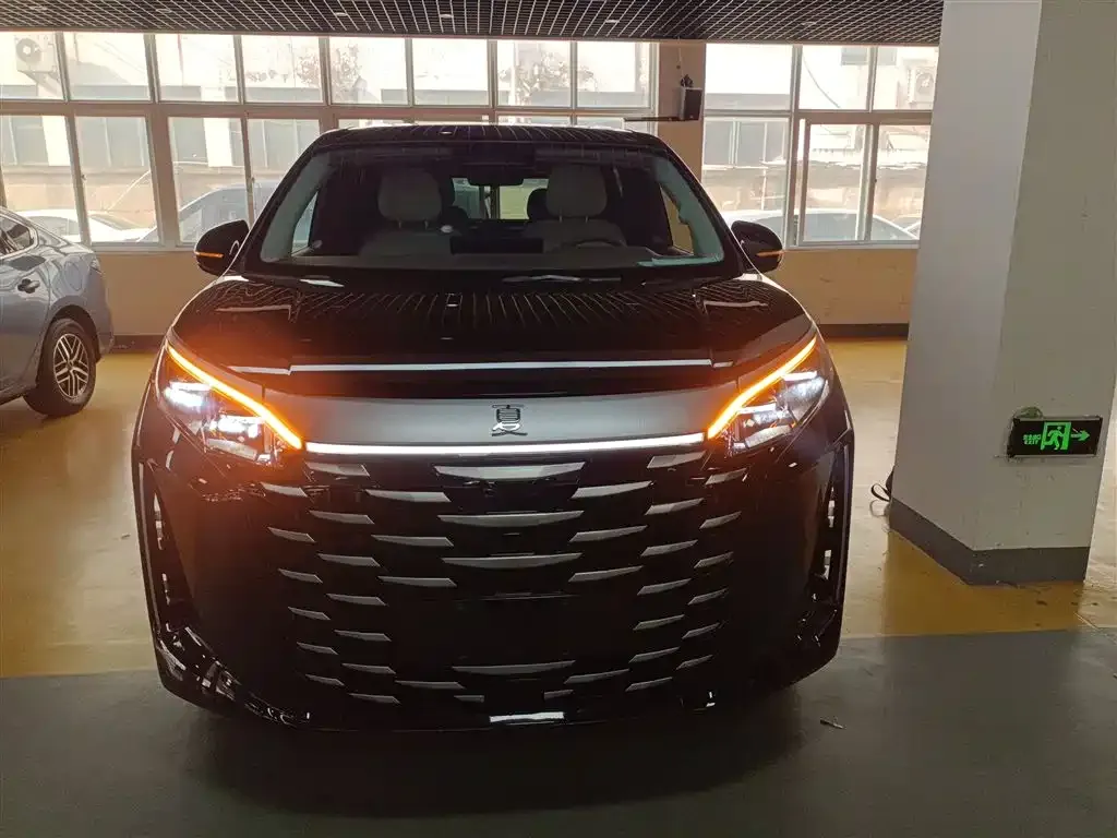 BYD Xia 2025 из CN, фото 6