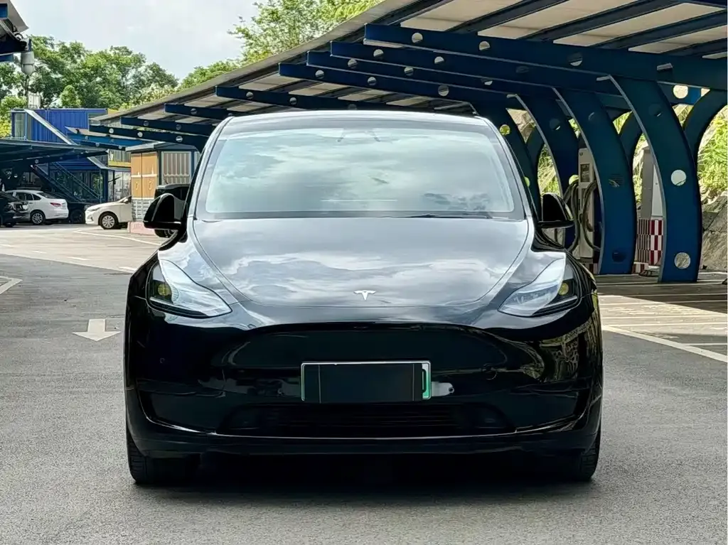 Tesla Model Y — фото 2