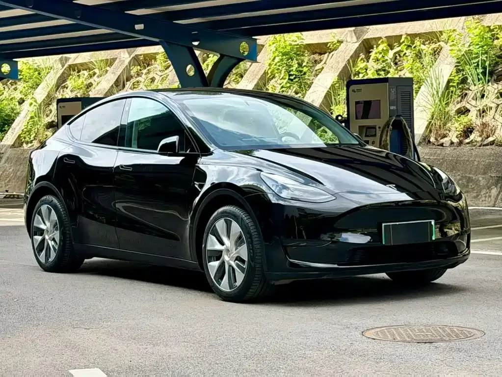 Tesla Model Y — фото 5