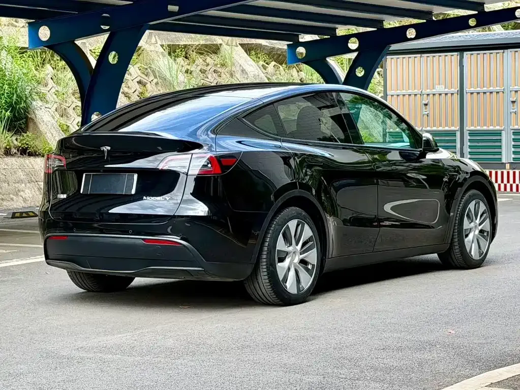 Tesla Model Y — фото 7
