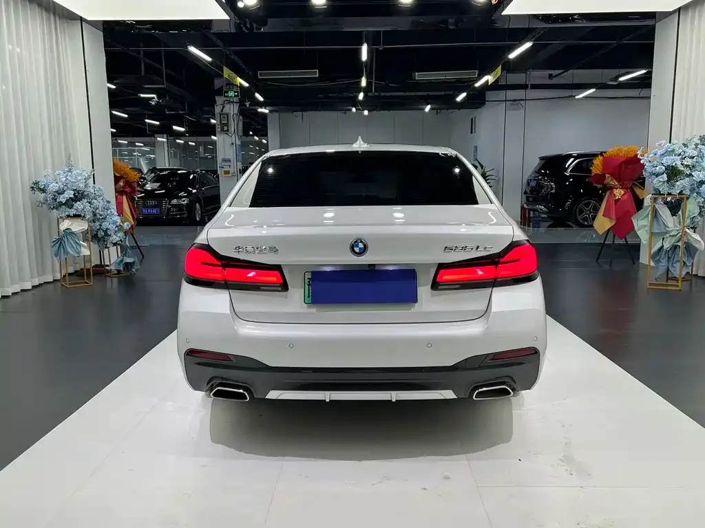 BMW 5 Series New Energy — фото 8