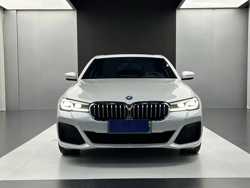 BMW 5 Series New Energy — фото 2