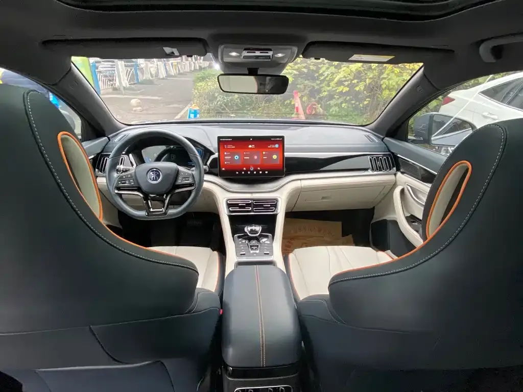 BYD PLUS New Energy 2023 из CN, фото 3