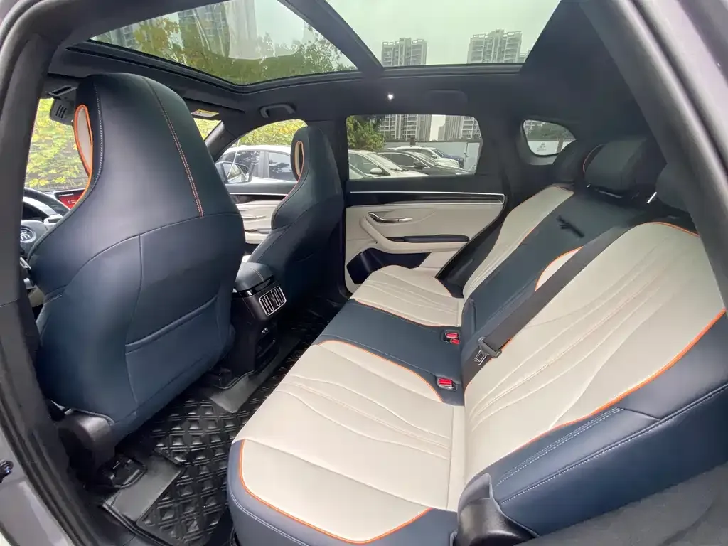 BYD PLUS New Energy 2023 из CN, фото 2