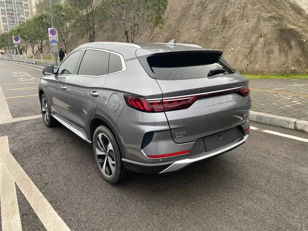 BYD PLUS New Energy 2023 из CN, фото 5
