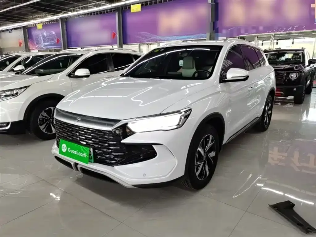 BYD Pro New Energy — фото 6