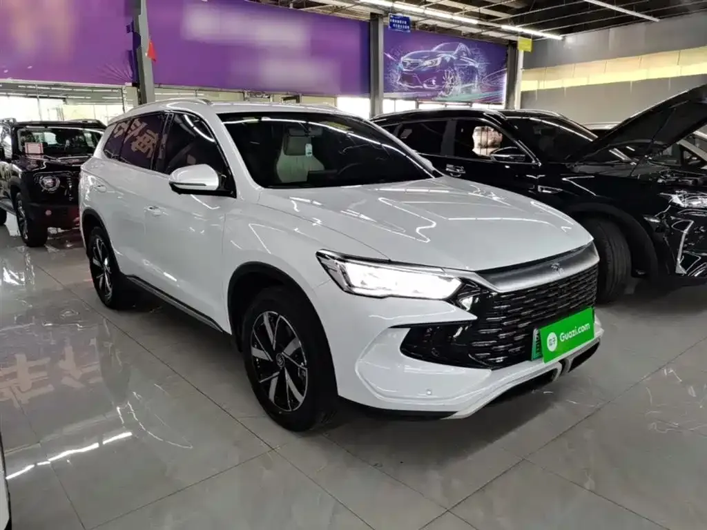 BYD Pro New Energy — фото 4
