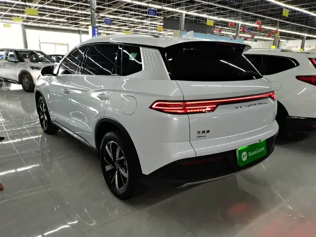 BYD Pro New Energy — фото 9