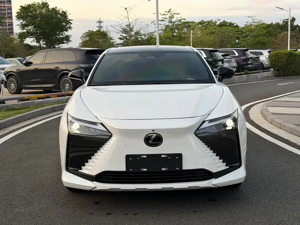 Lexus RZ 2023 из CN, фото 9