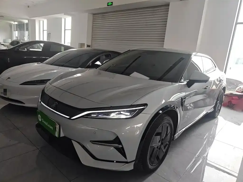 BYD L EV
