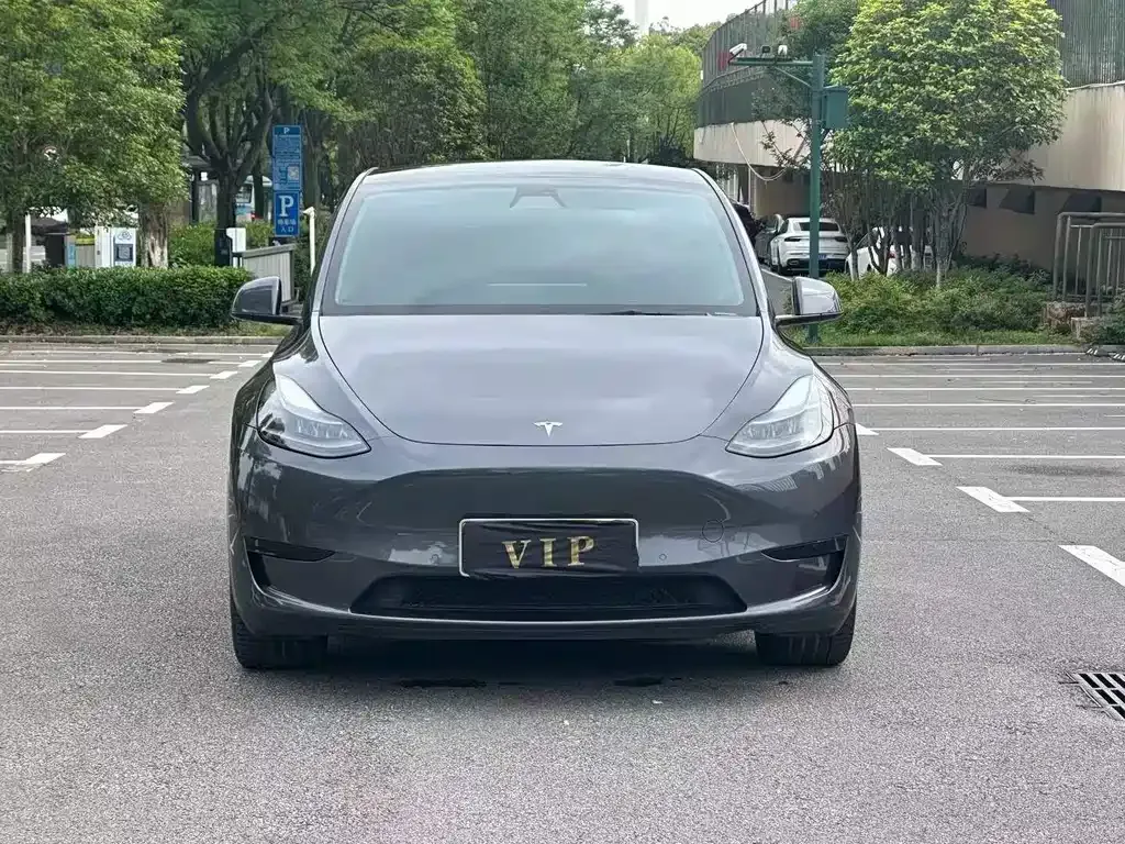 Tesla Model Y — фото 1