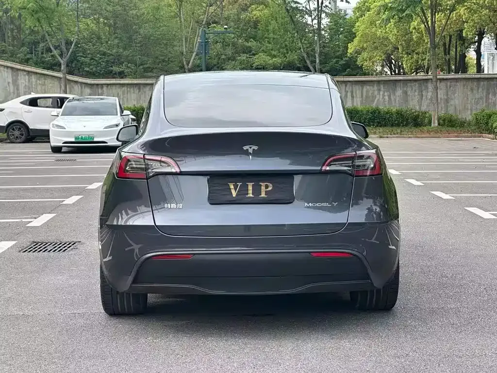 Tesla Model Y — фото 7