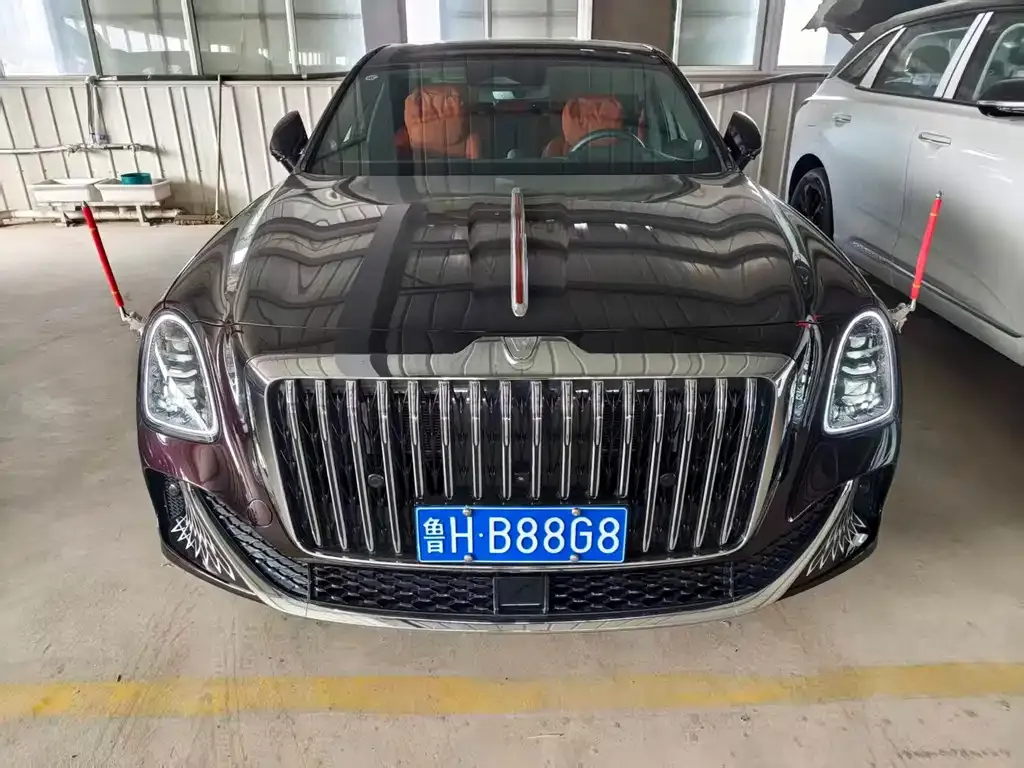 Hongqi Golden Sunflower Guoya 2025 из CN, фото 10