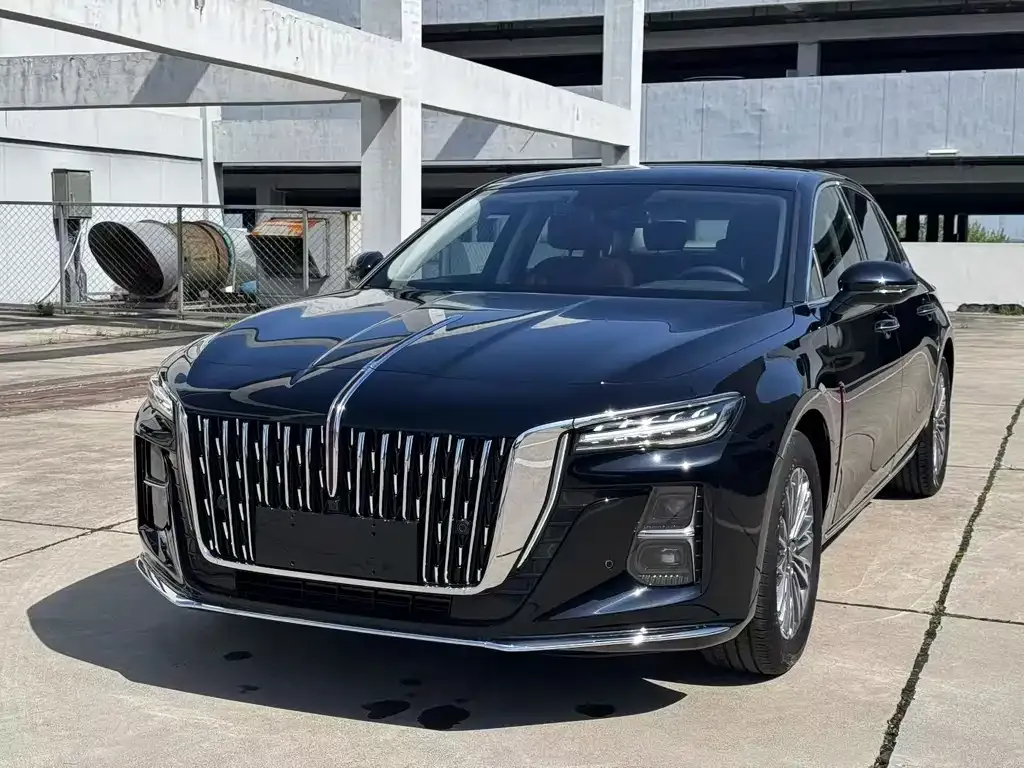 Hongqi H5 2024 из CN, фото 1