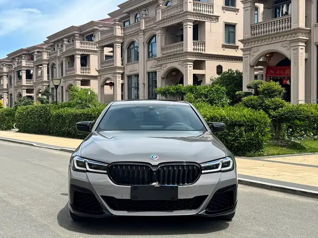 BMW 5 Series (Import) 2021 из CN, фото 10