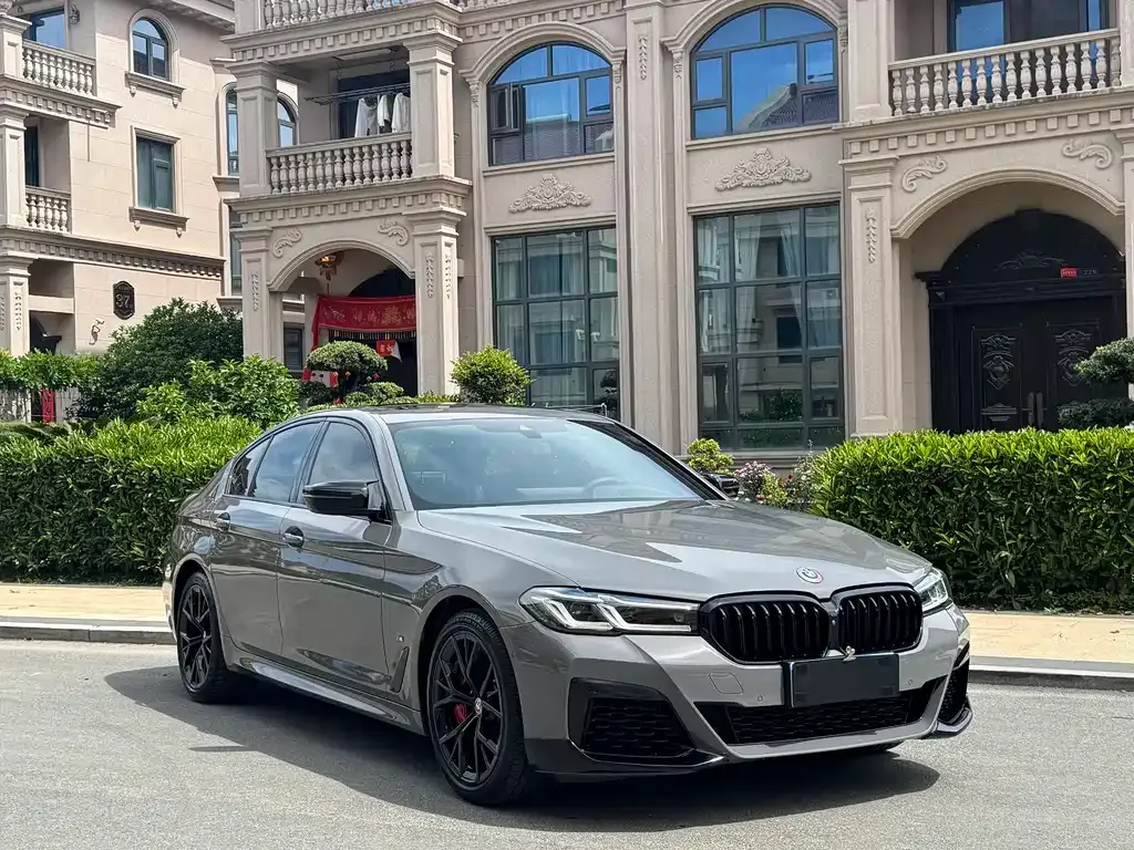 BMW 5 Series (Import) 2021 из CN, фото 9