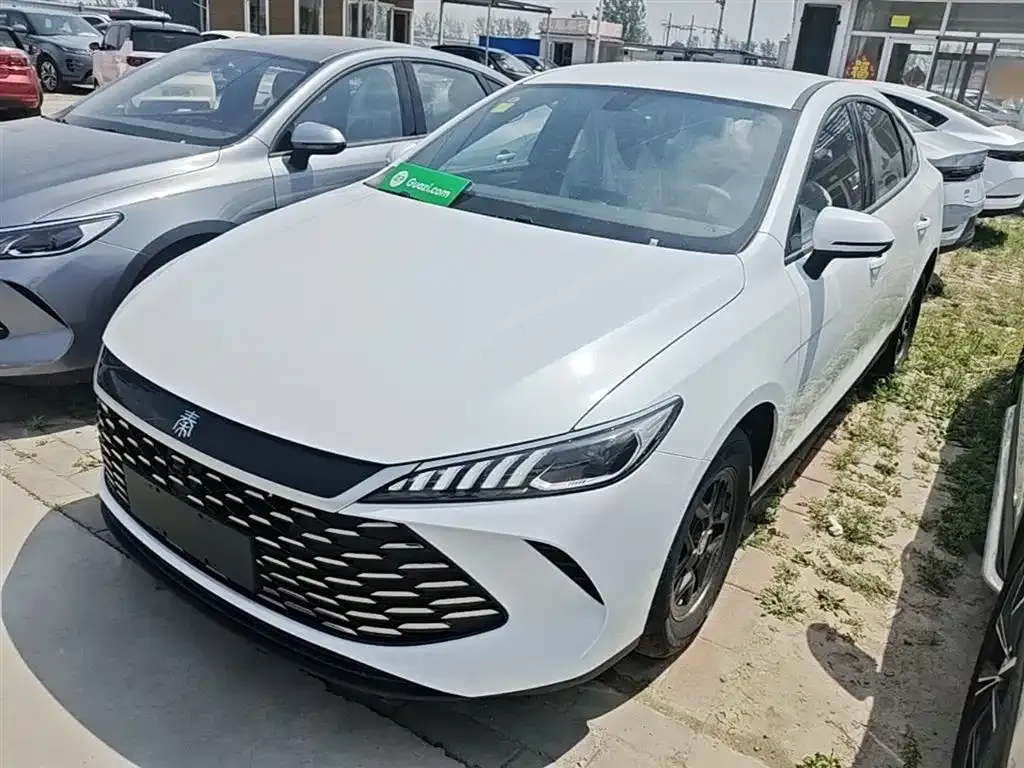 BYD Qin PLUS — фото 9