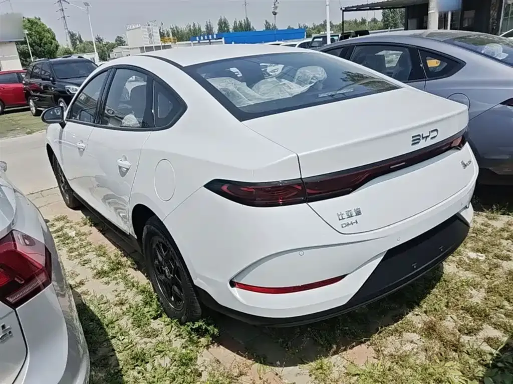 BYD Qin PLUS — фото 4