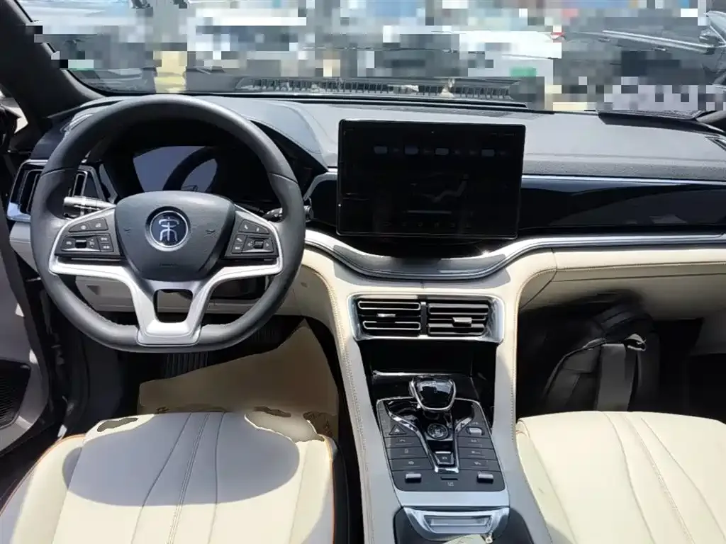 BYD PLUS New Energy — фото 9