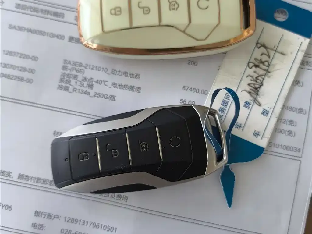 BYD PLUS New Energy — фото 2