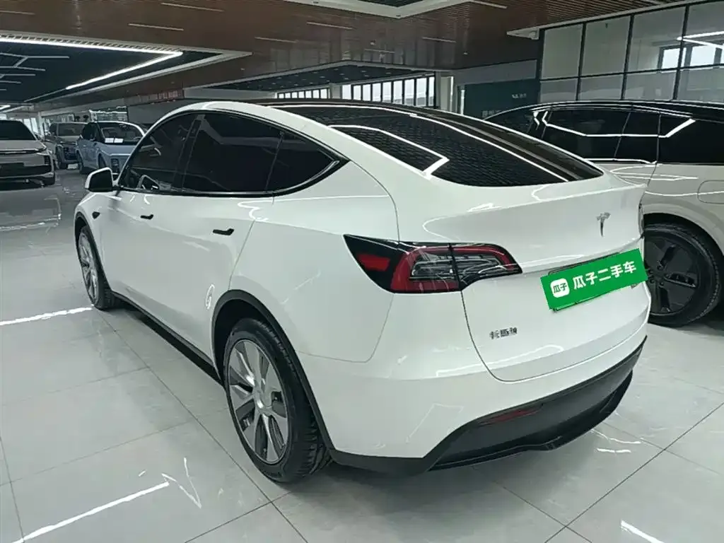 Tesla Model Y — фото 9