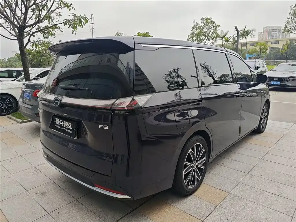 GAC Motor E8 Hybrid 2024 из CN, фото 7
