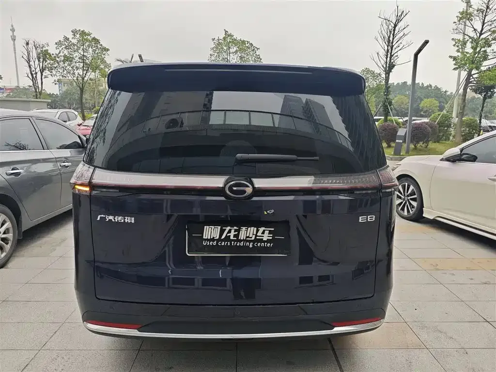GAC Motor E8 Hybrid 2024 из CN, фото 8