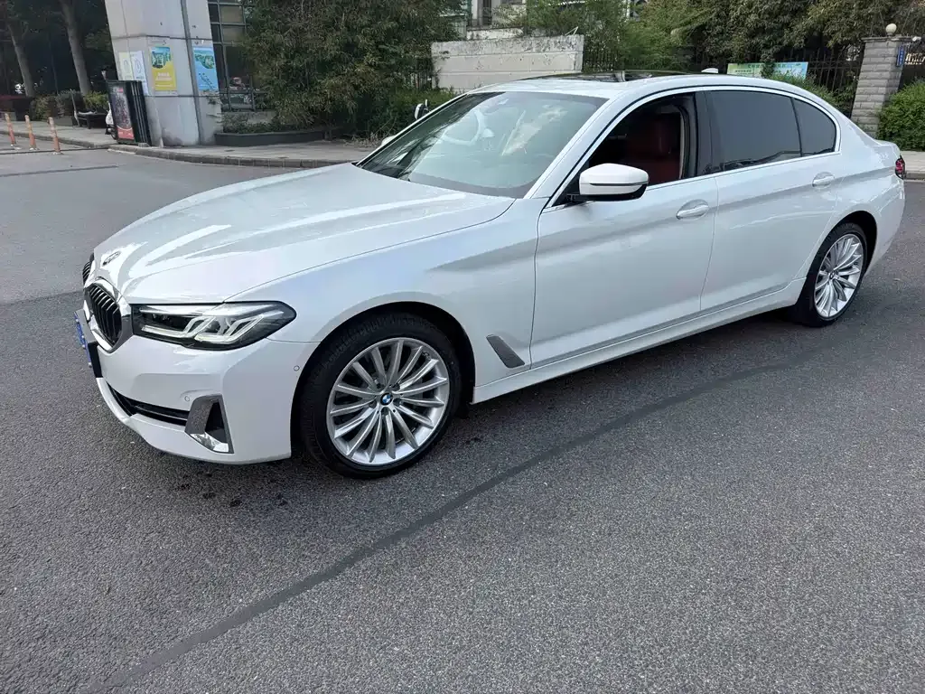 BMW 5 Series 2023 из CN, фото 5