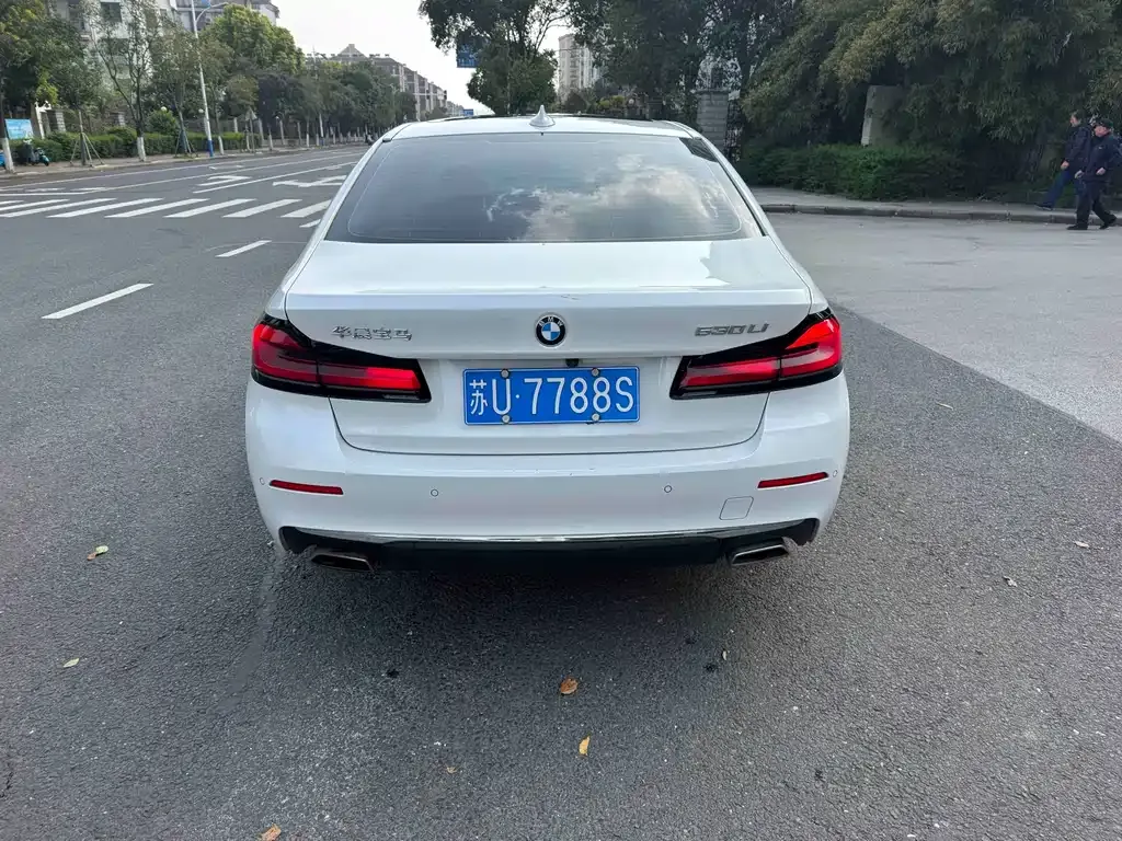 BMW 5 Series 2023 из CN, фото 7