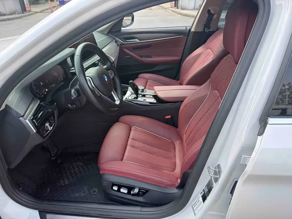 BMW 5 Series 2023 из CN, фото 8