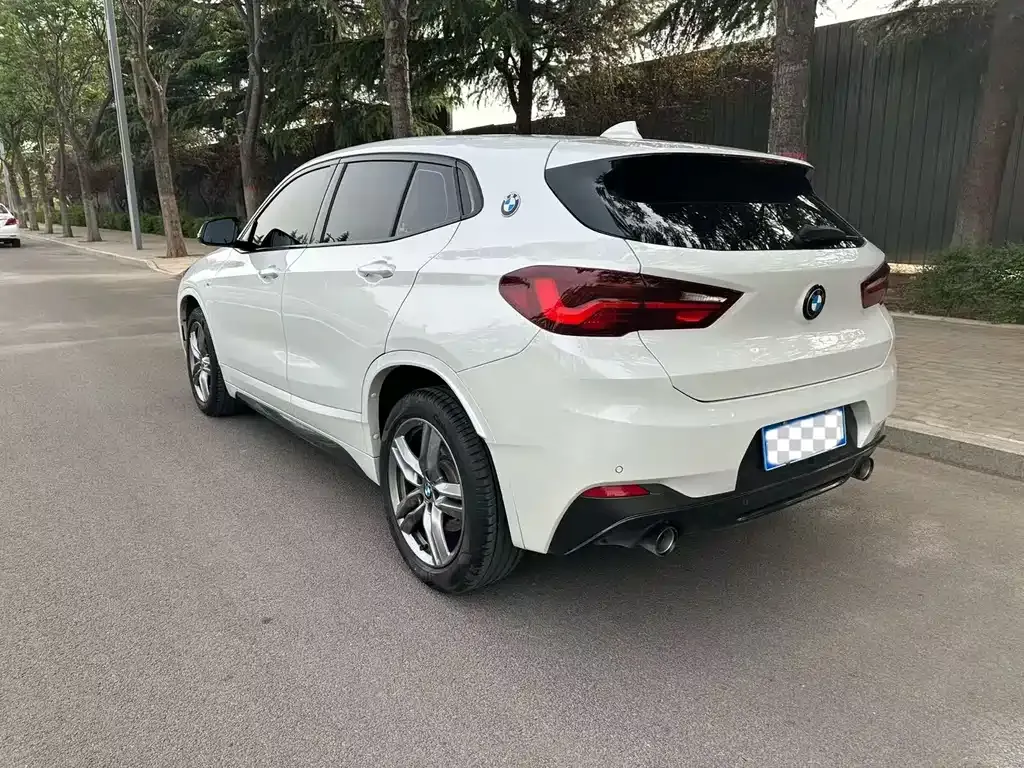 BMW X2 2024 из CN, фото 9