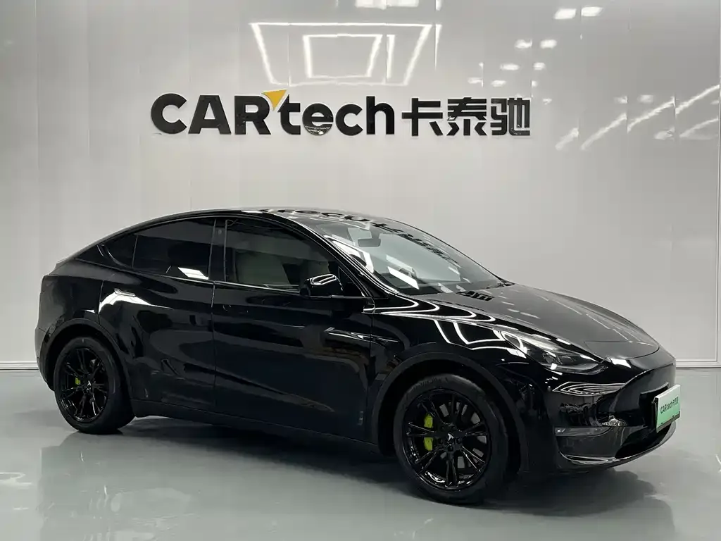 Tesla Model Y — фото 3