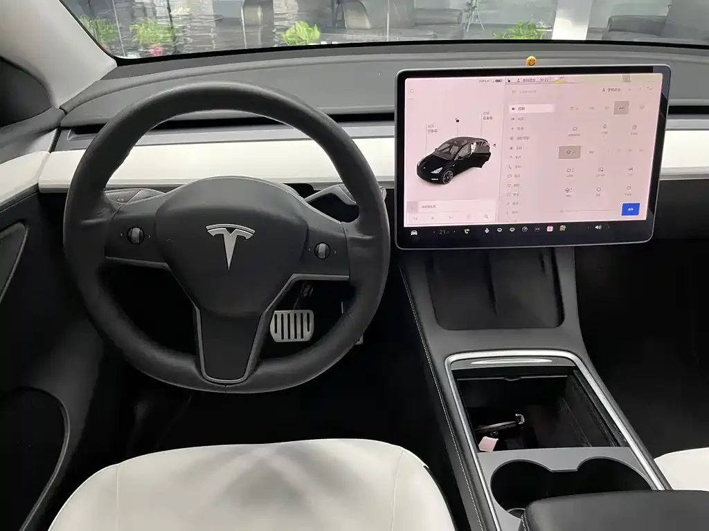 Tesla Model Y — фото 10