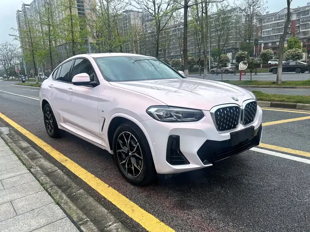 BMW X4 — фото 6
