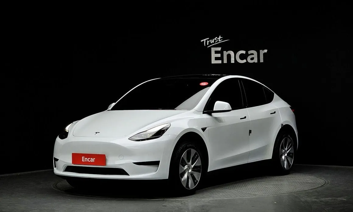 Tesla Model Y — фото 1