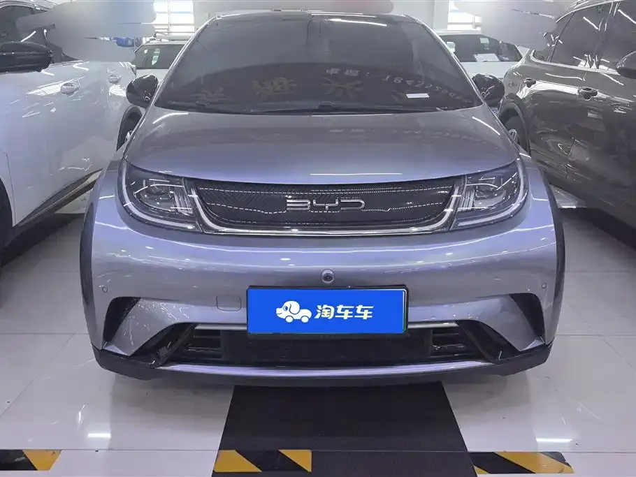 BYD Dolphin 2023 из CN, фото 4