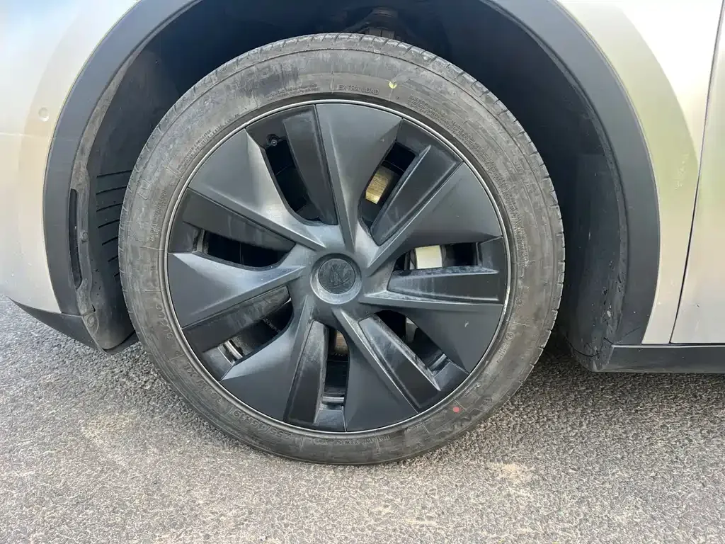 Tesla Model Y — фото 10