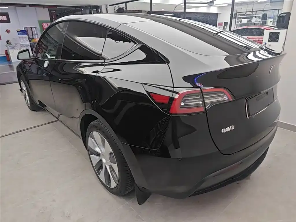 Tesla Model Y — фото 9