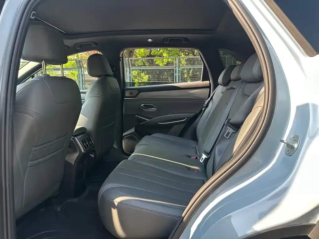 BYD L DM-i — фото 2