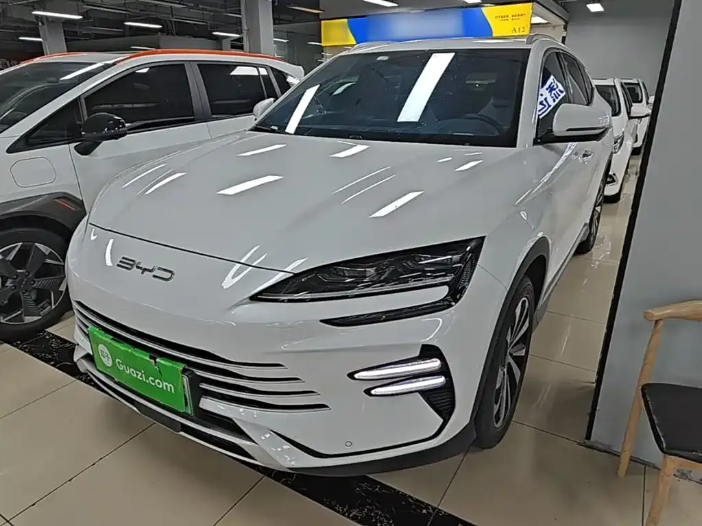 BYD PLUS New Energy — фото 7